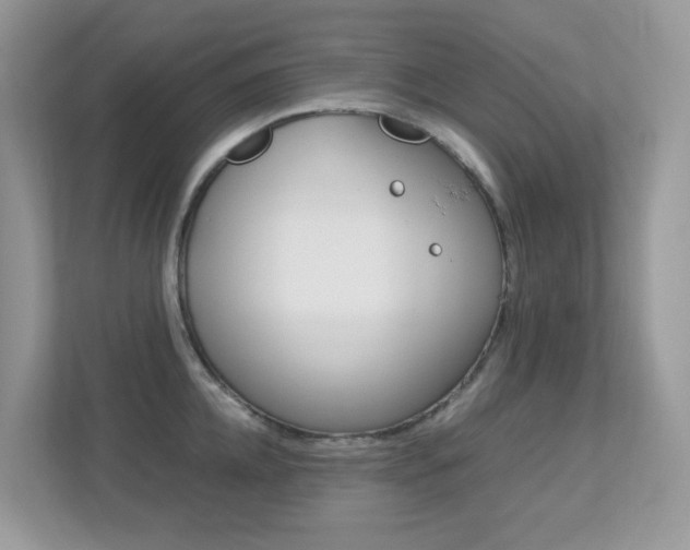 X0000113250952200909100940