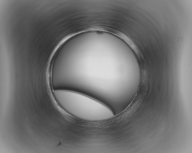 X0000113250955200909100940