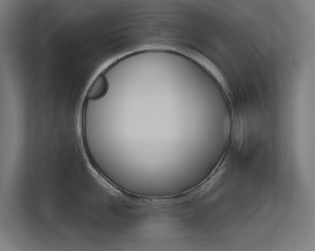 X0000113250958200909100940