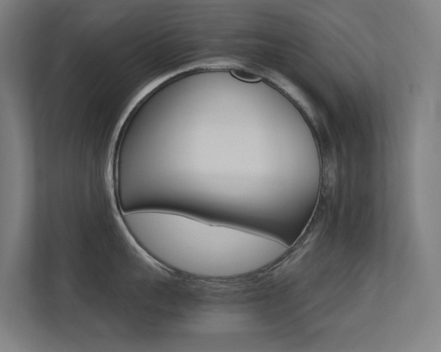 X0000113250959200909100940