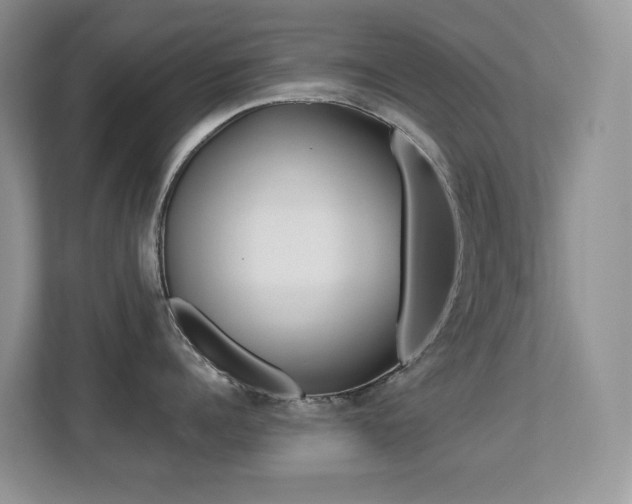 X0000113250960200909100940