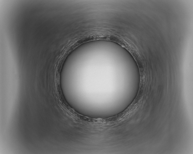 X0000113250961200909100939