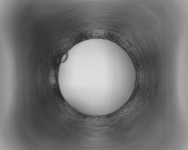 X0000113250962200909100939
