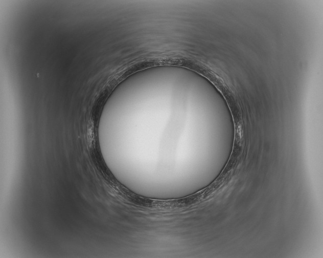 X0000113250963200909100939