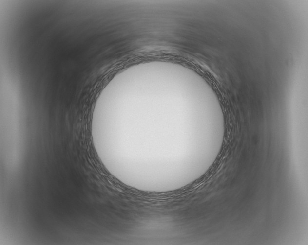 X0000113250965200909100939