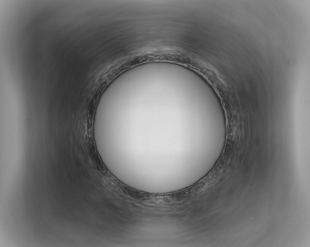 X0000113250966200909100939