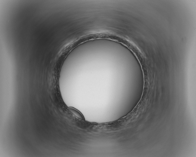 X0000113250967200909100939