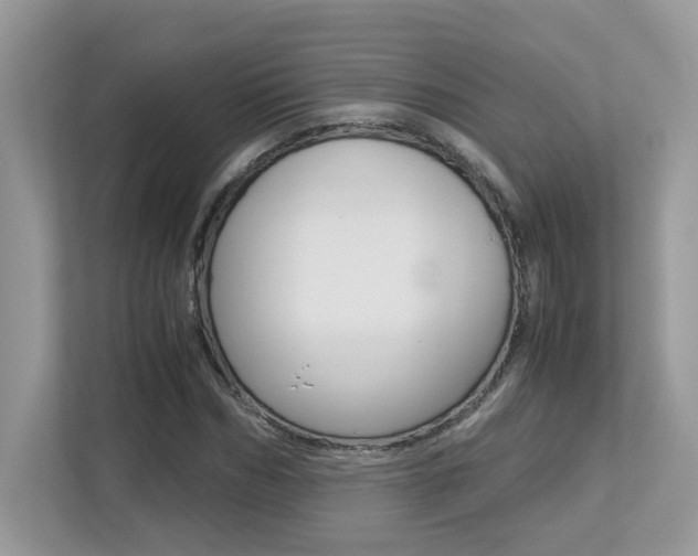 X0000113250970200909100939