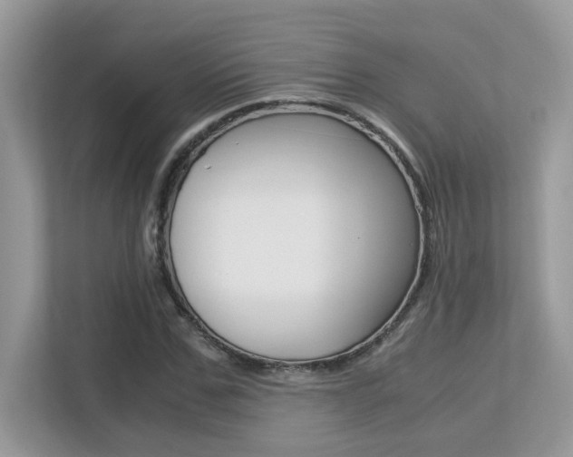 X0000113250971200909100939