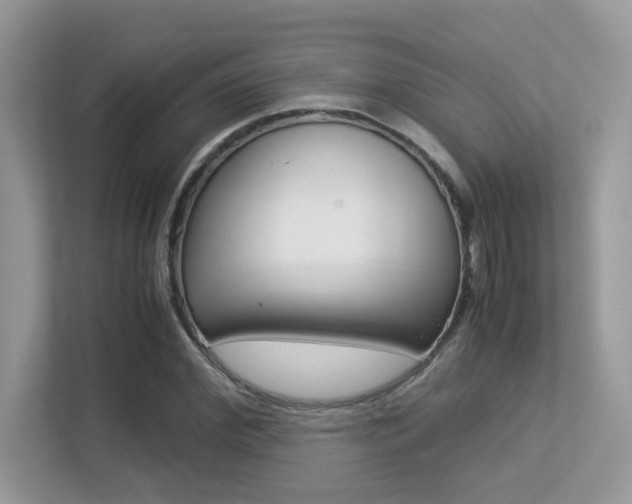 X0000113250972200909100939