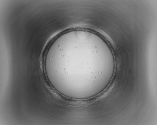 X0000113250974200909100939