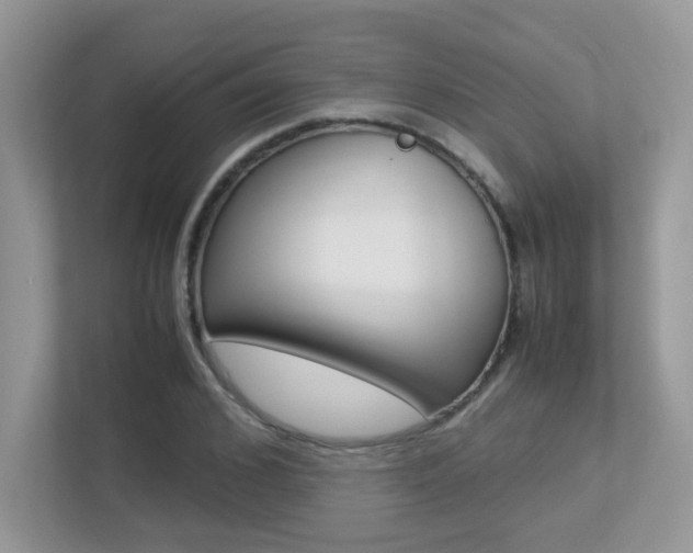 X0000113250976200909100939