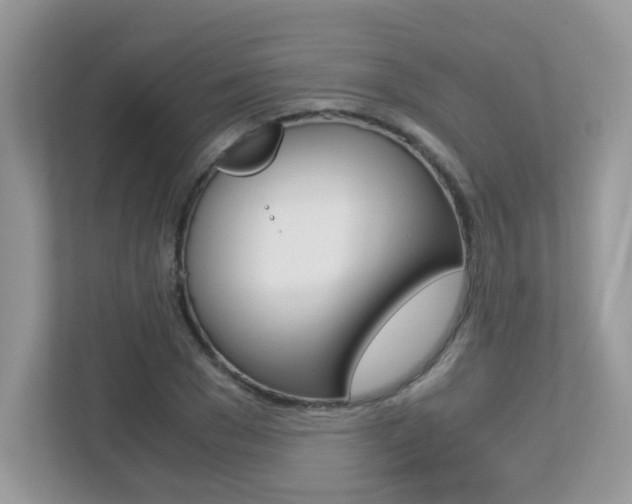 X0000113250977200909100939