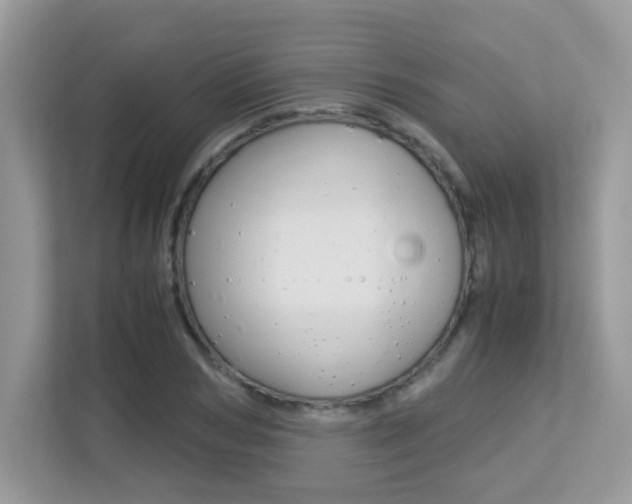 X0000113250978200909100939