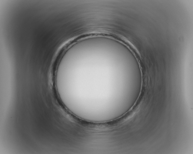 X0000113250979200909100939