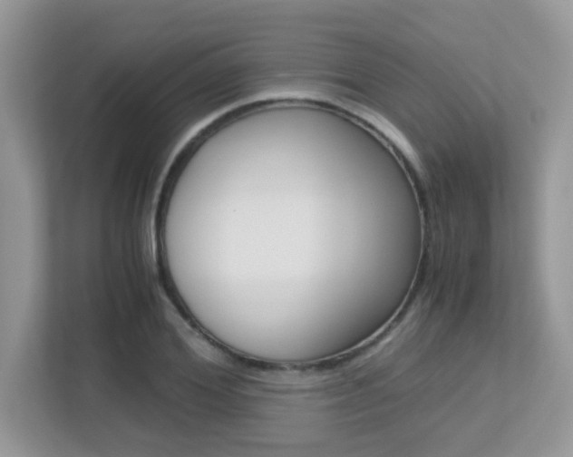 X0000113250980200909100939