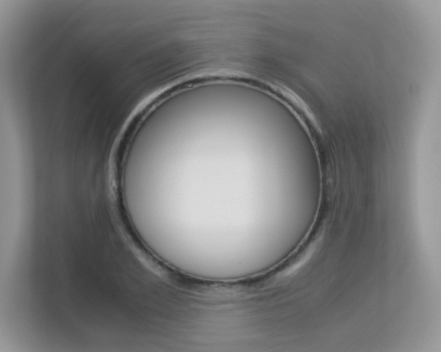 X0000113250981200909100939
