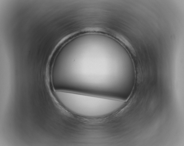 X0000113250984200909100939