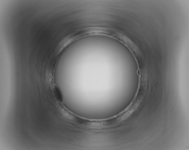 X0000113250985200909100939