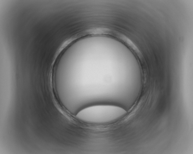 X0000113250986200909100939