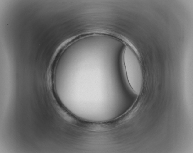 X0000113250987200909100939