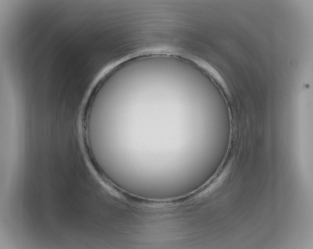 X0000113250989200909100939
