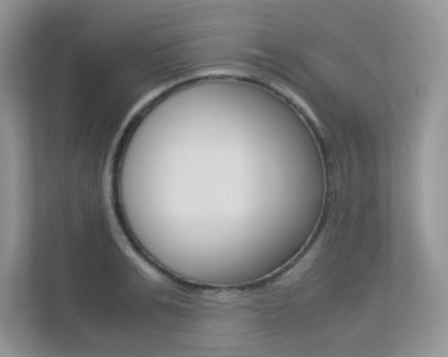 X0000113250991200909100939