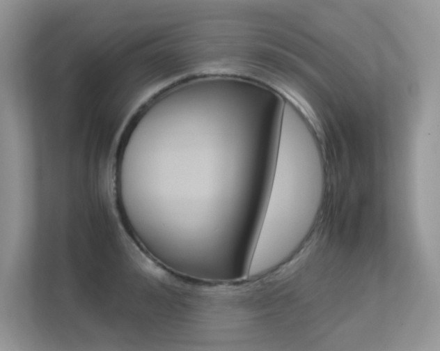 X0000113250992200909100939