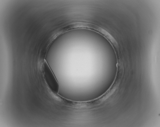 X0000113250993200909100939