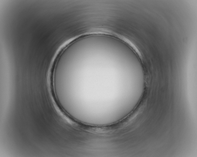 X0000113250995200909100939