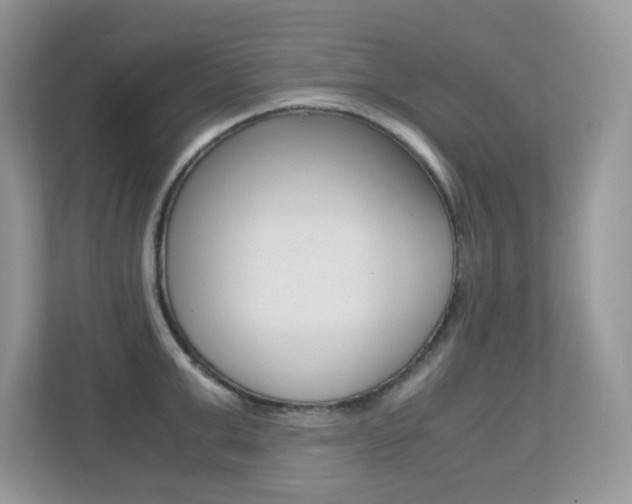 X0000113250999200909100939