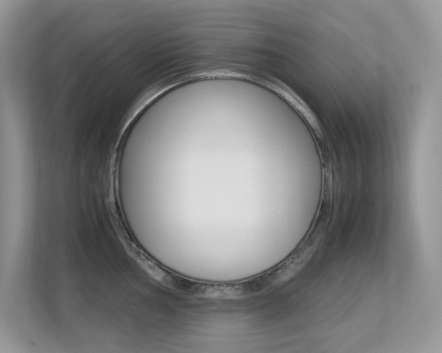 X0000113251002200909100939