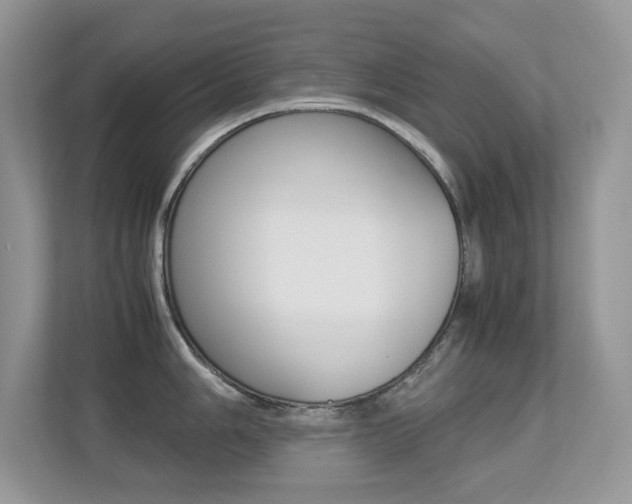X0000113251006200909100939