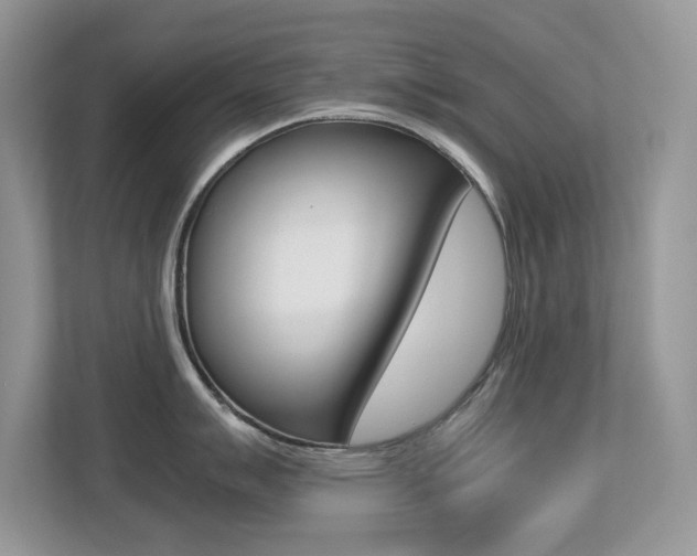 X0000113251007200909100939