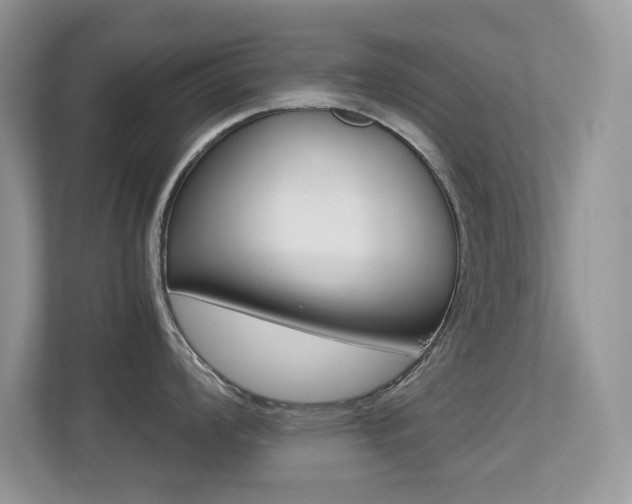 X0000113251008200909100939