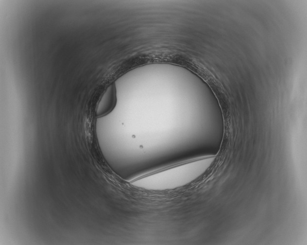 X0000113251010200909100938
