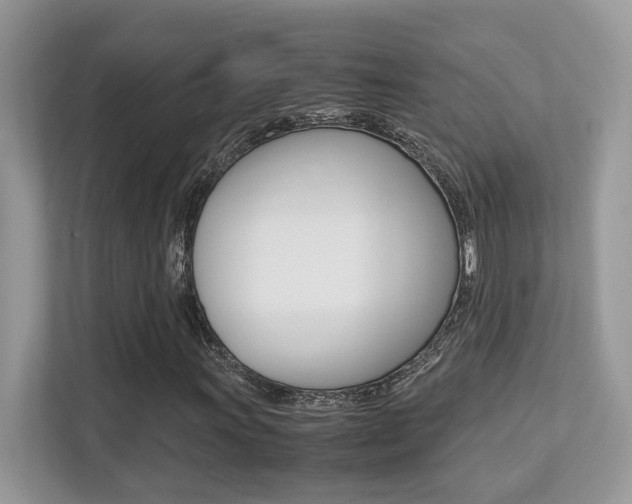 X0000113251011200909100938