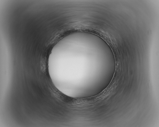 X0000113251012200909100938