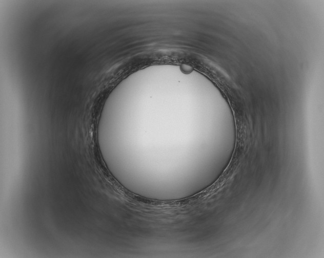 X0000113251013200909100938