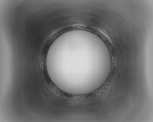 X0000113251015200909100938