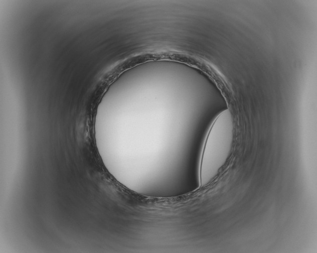X0000113251016200909100938