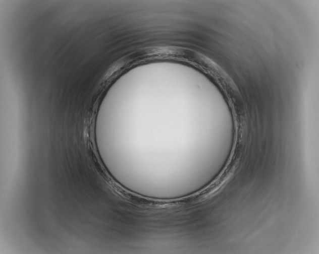 X0000113251017200909100938
