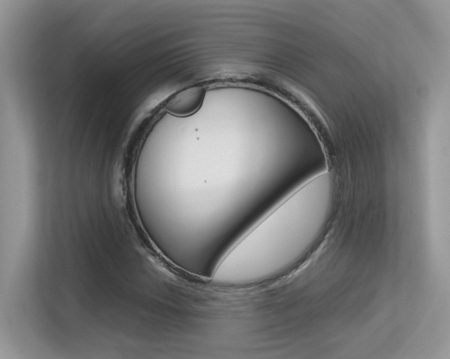 X0000113251018200909100938