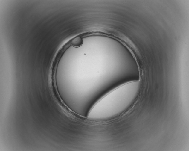 X0000113251020200909100938
