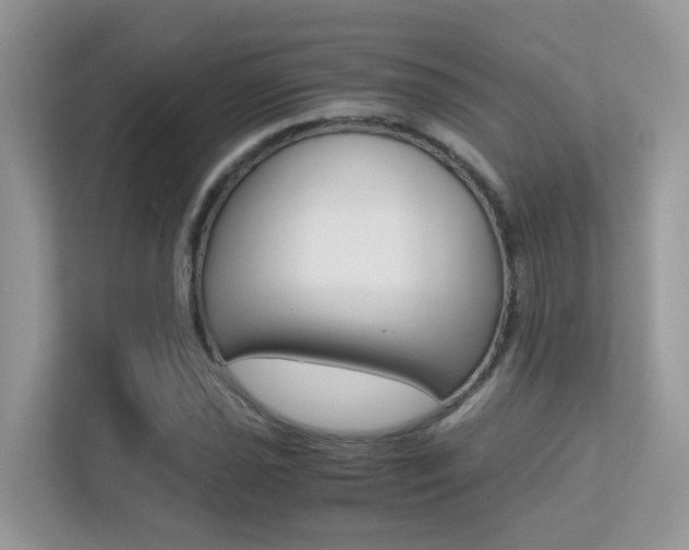 X0000113251021200909100938