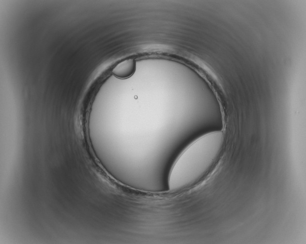 X0000113251022200909100938