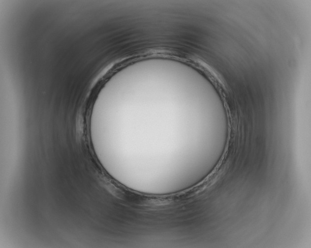 X0000113251023200909100938