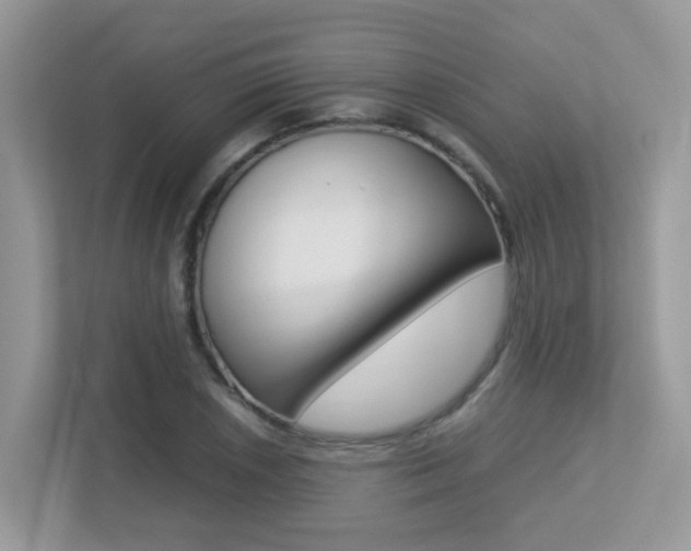 X0000113251026200909100938