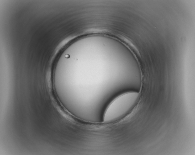 X0000113251030200909100938