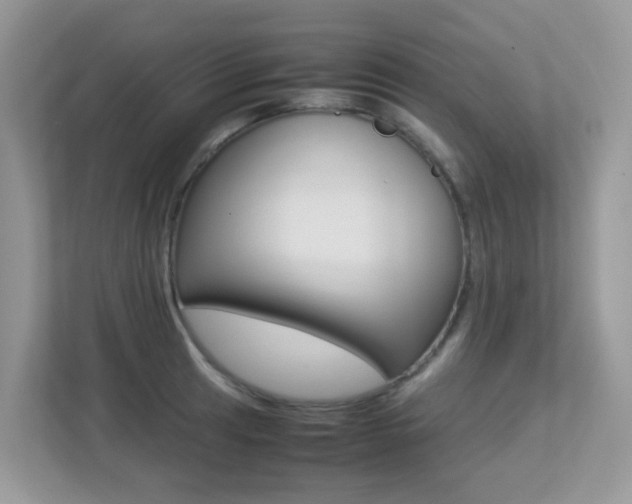 X0000113251041200909100939